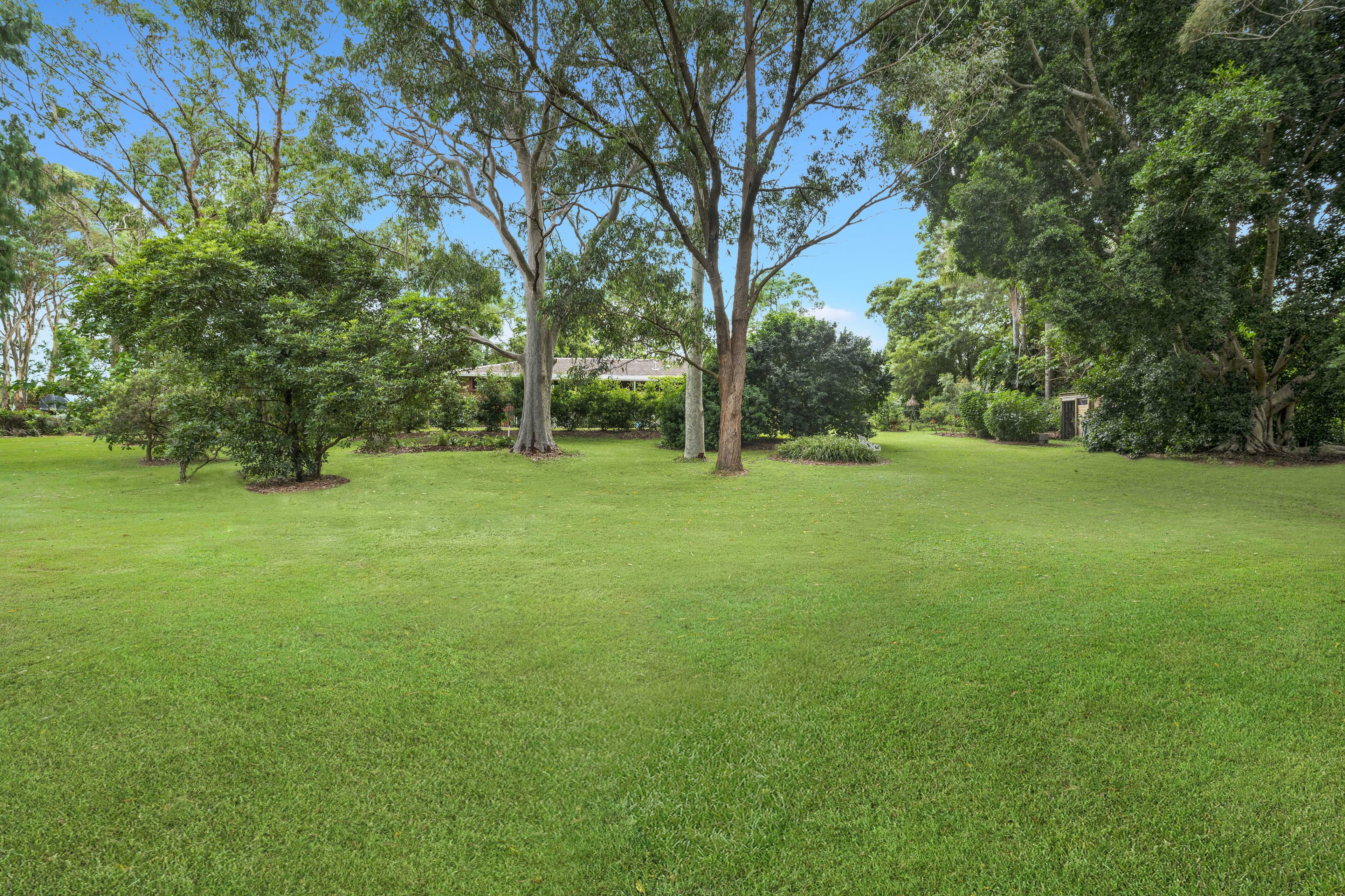 24 Tocal Road, Bolwarra Heights NSW 2320, Bolwarra Heights - Thumbnail 6