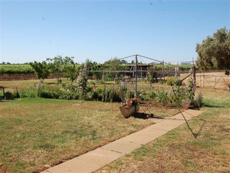 Farm 767 Barracks Road, YENDA NSW 2681, Yenda - Thumbnail 5