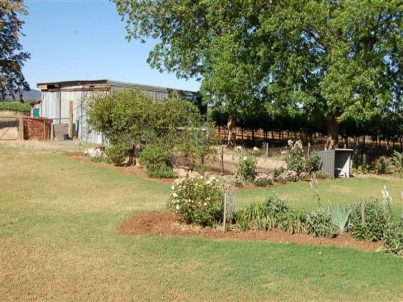 Farm 767 Barracks Road, YENDA NSW 2681, Yenda - Thumbnail 8