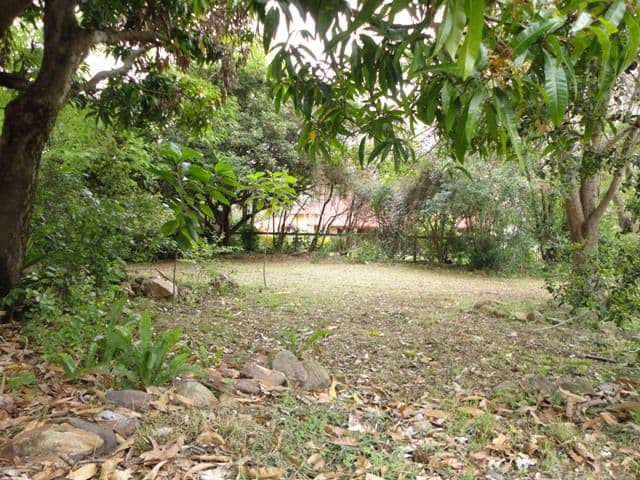 10 Stephenson Street, SADLIERS CROSSING QLD 4305, Sadliers Crossing - Thumbnail 2