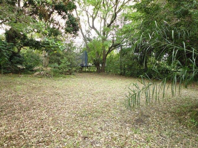 10 Stephenson Street, SADLIERS CROSSING QLD 4305, Sadliers Crossing - Thumbnail 3