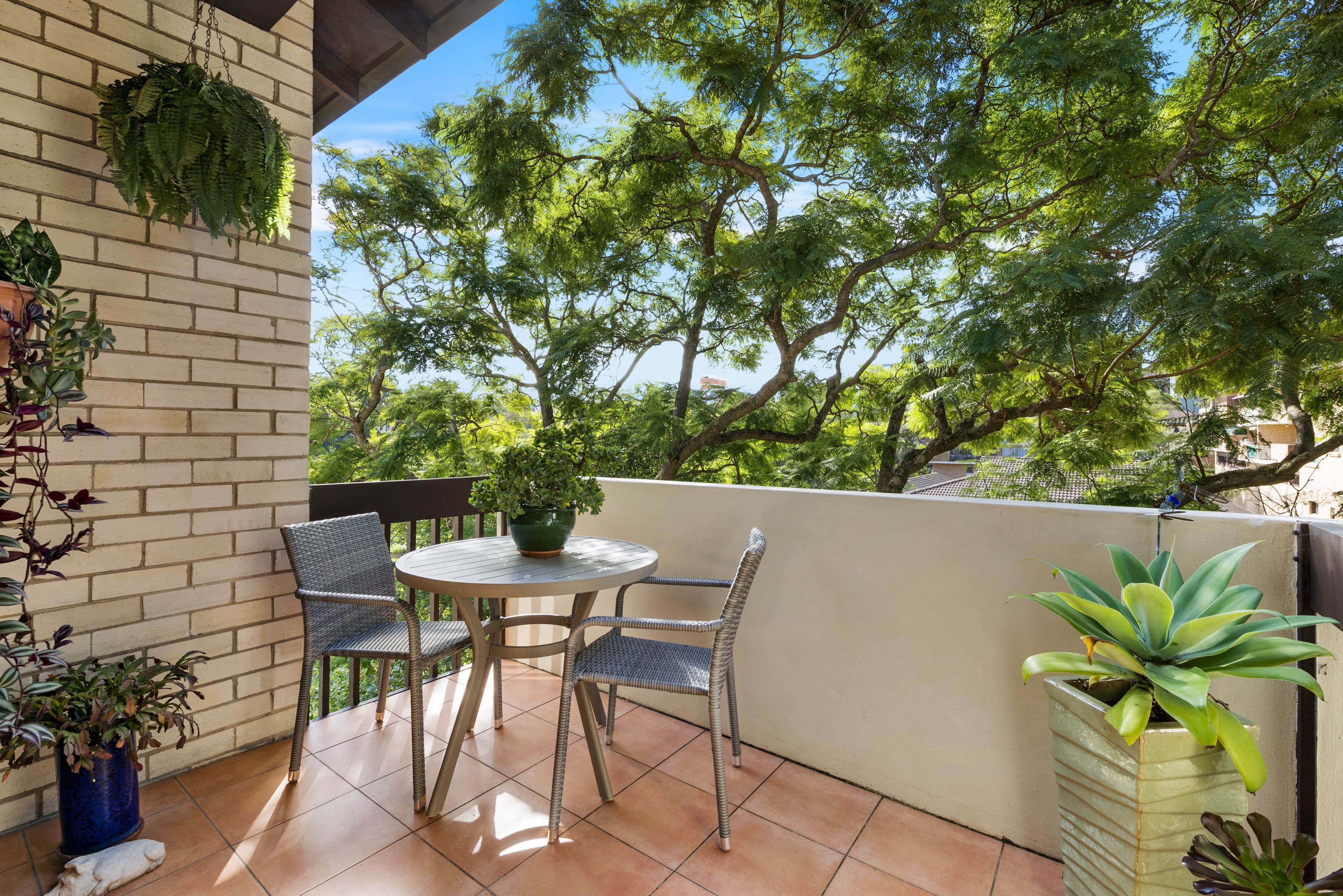 52 Glen Avenue, Randwick NSW 2031, Randwick - Thumbnail 2