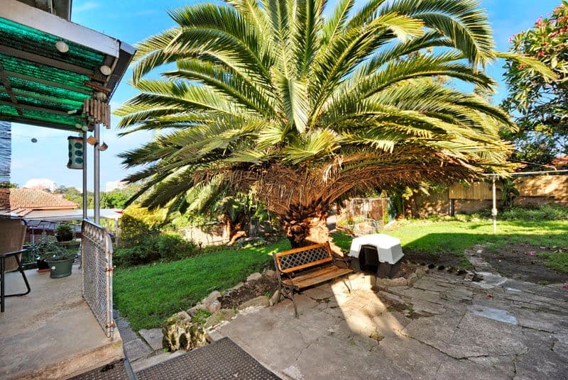 12 Braeside Avenue, PENSHURST NSW 2222, Penshurst - Thumbnail 5