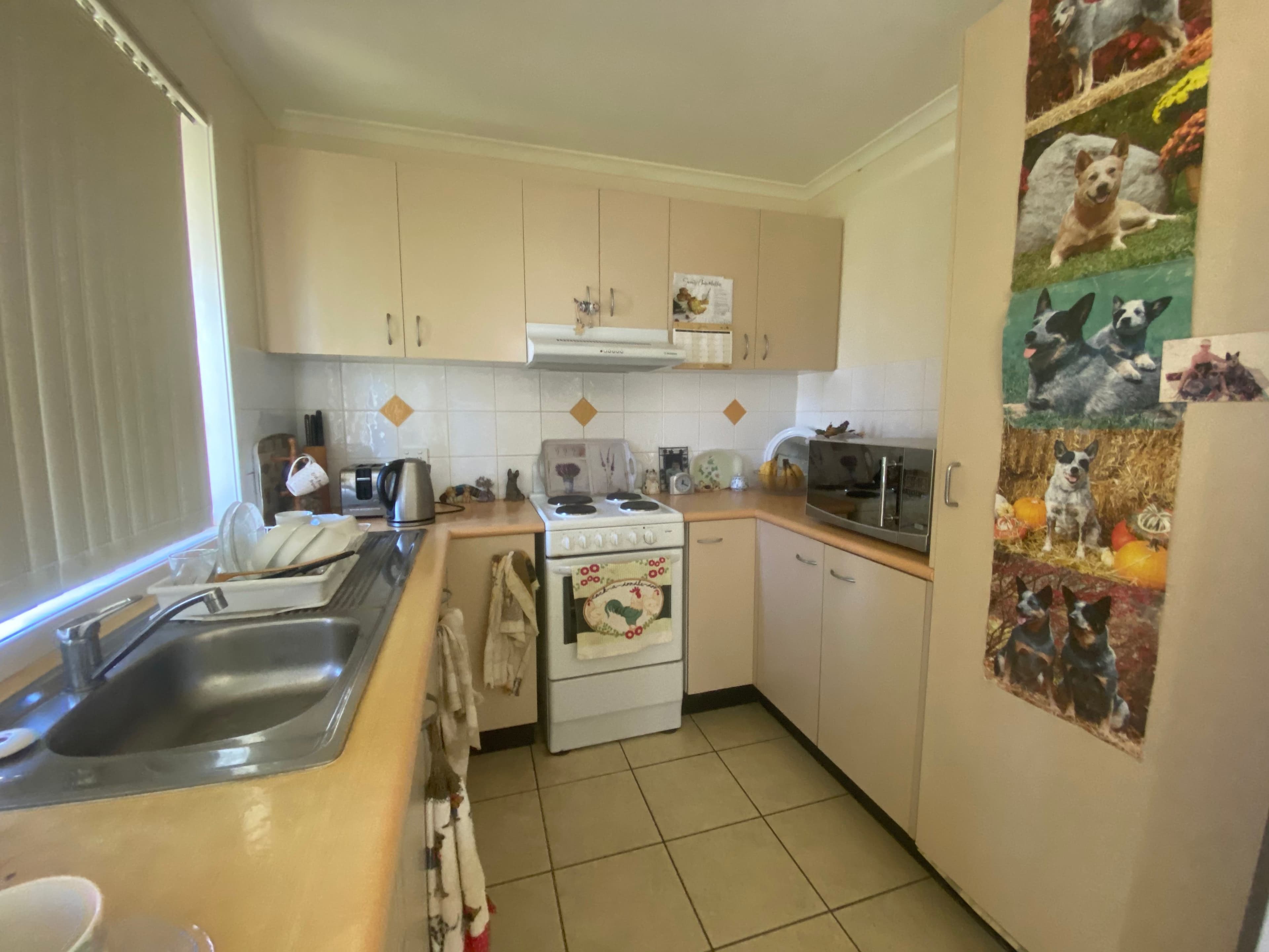 56 Bancroft Terrace, Deception Bay QLD 4508, Deception Bay - Thumbnail 2