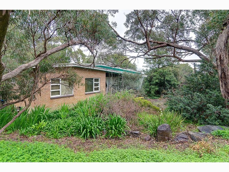 18 Shaftsbury Street, Eden Hills SA 5050, Eden Hills - Thumbnail 5