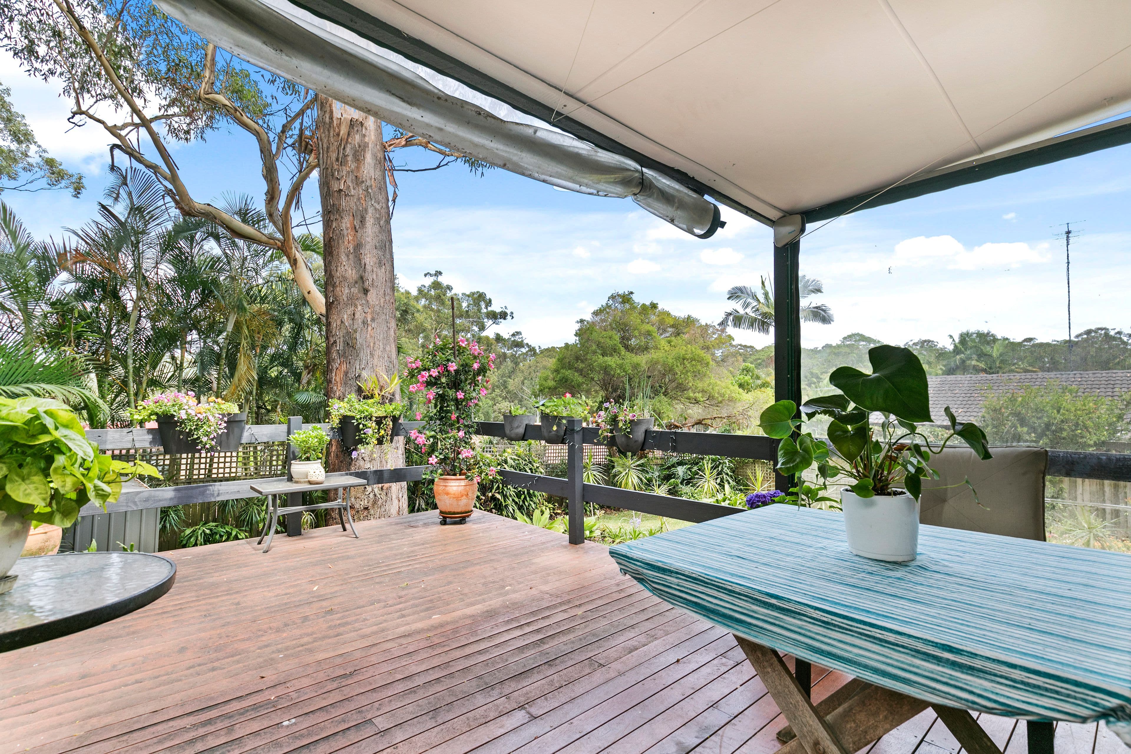 12 Sandpiper Close, Buderim QLD 4556, Buderim - Image 1