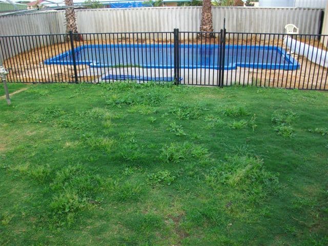 35 Horizon Avenue, Ashmore, QLD, 4214, Ashmore - Thumbnail 2