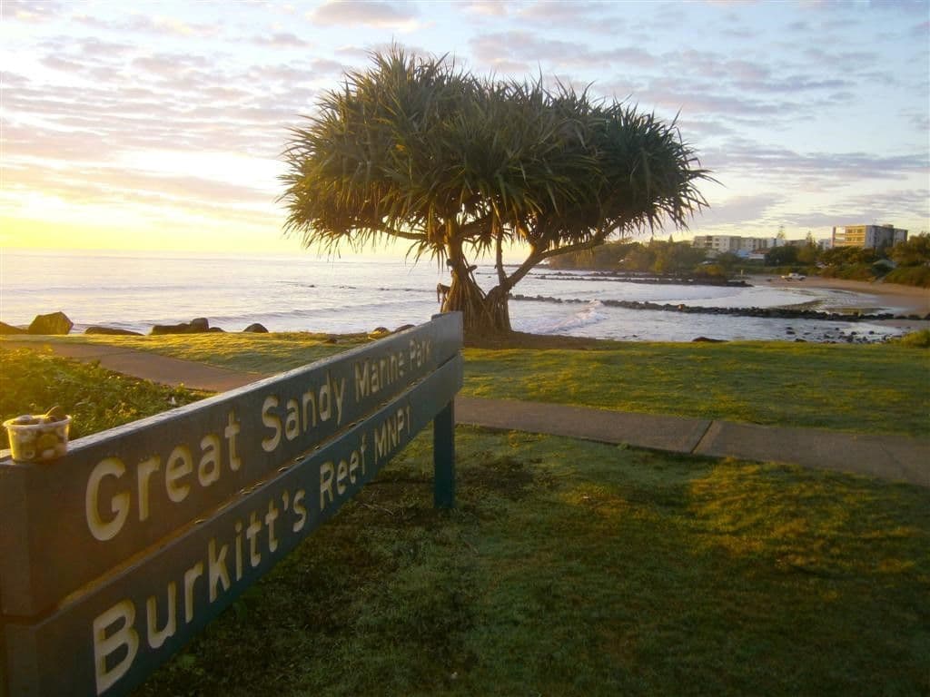 24 Ann Street, BUNDABERG EAST QLD 4670, Bundaberg East - Thumbnail 8