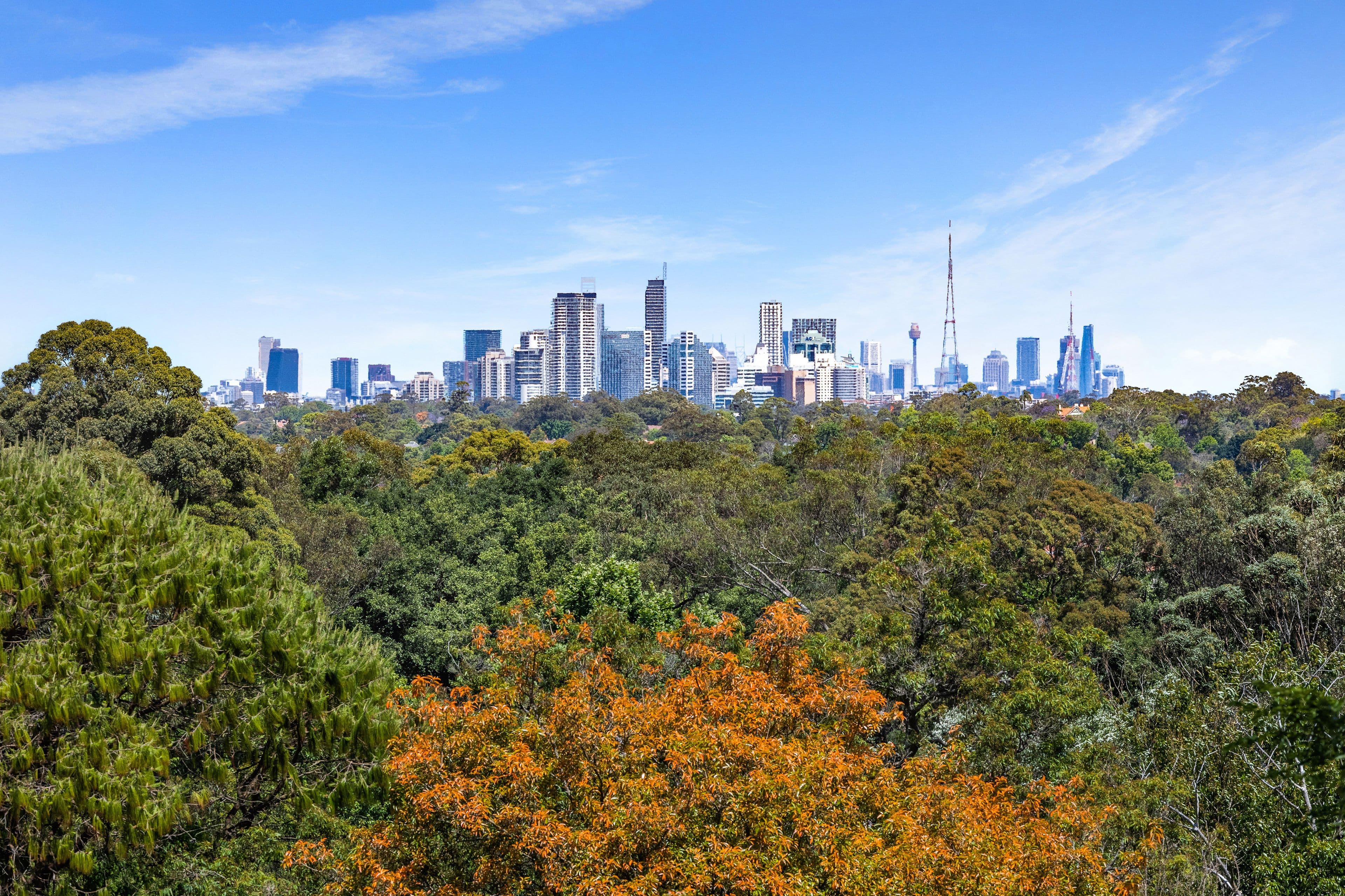 26 Cameron Road, Pymble NSW 2073, Pymble - Thumbnail 2