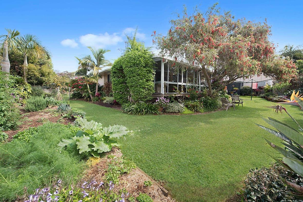 23 Mill Road, Buderim QLD 4556, Buderim - Thumbnail 5