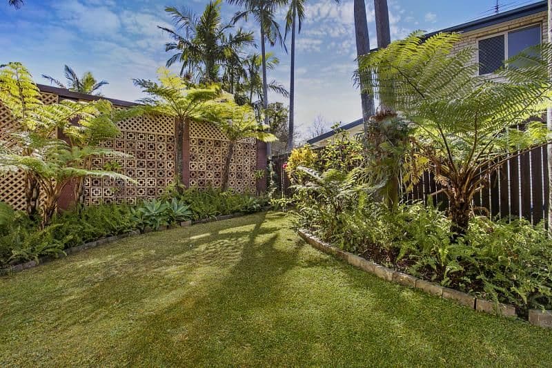 8 Camelia Avenue, EVERTON HILLS QLD 4053, Everton Hills - Thumbnail 3