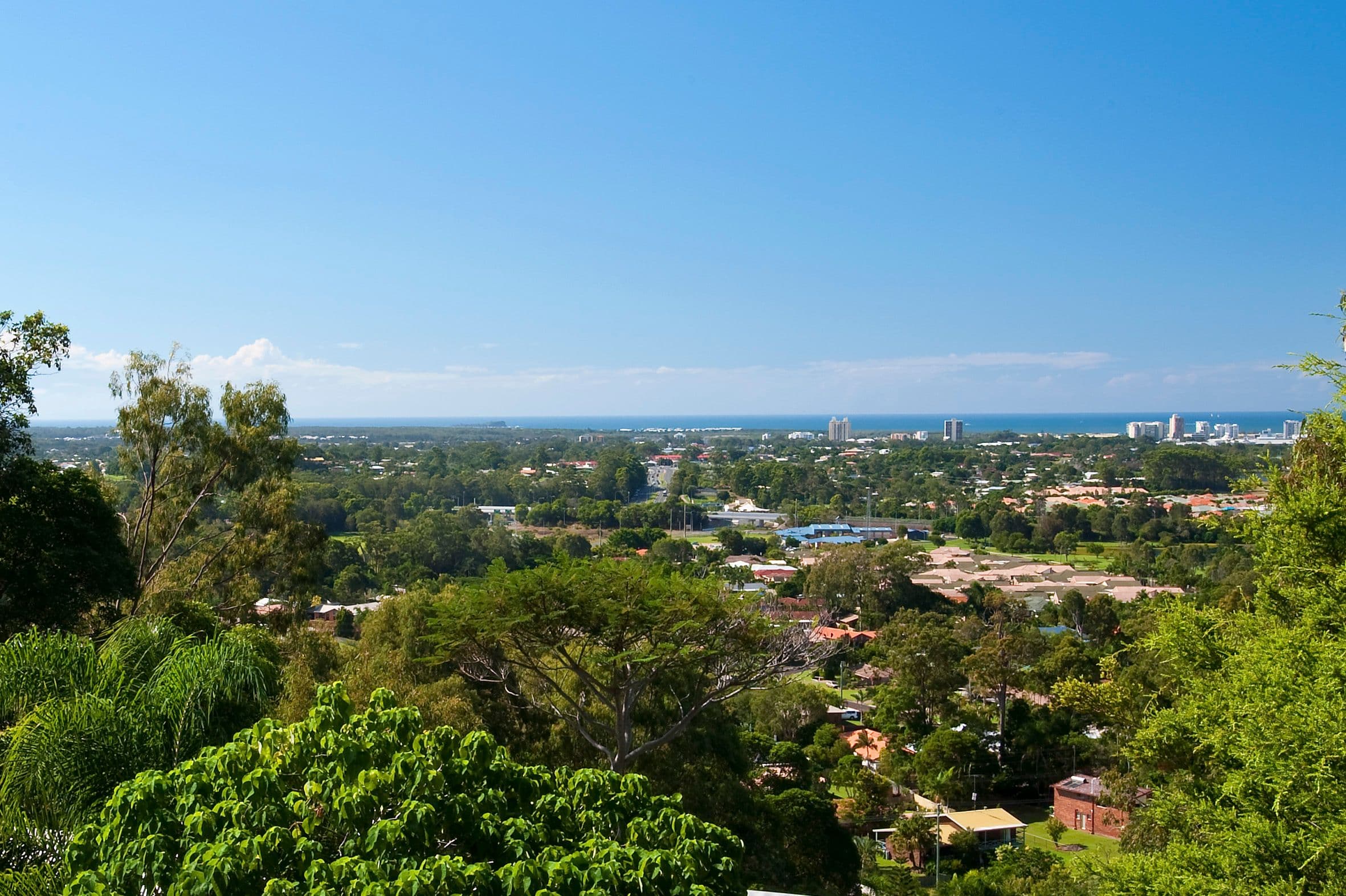 20 Sylvan Street, Buderim QLD 4556, Buderim - Thumbnail 4