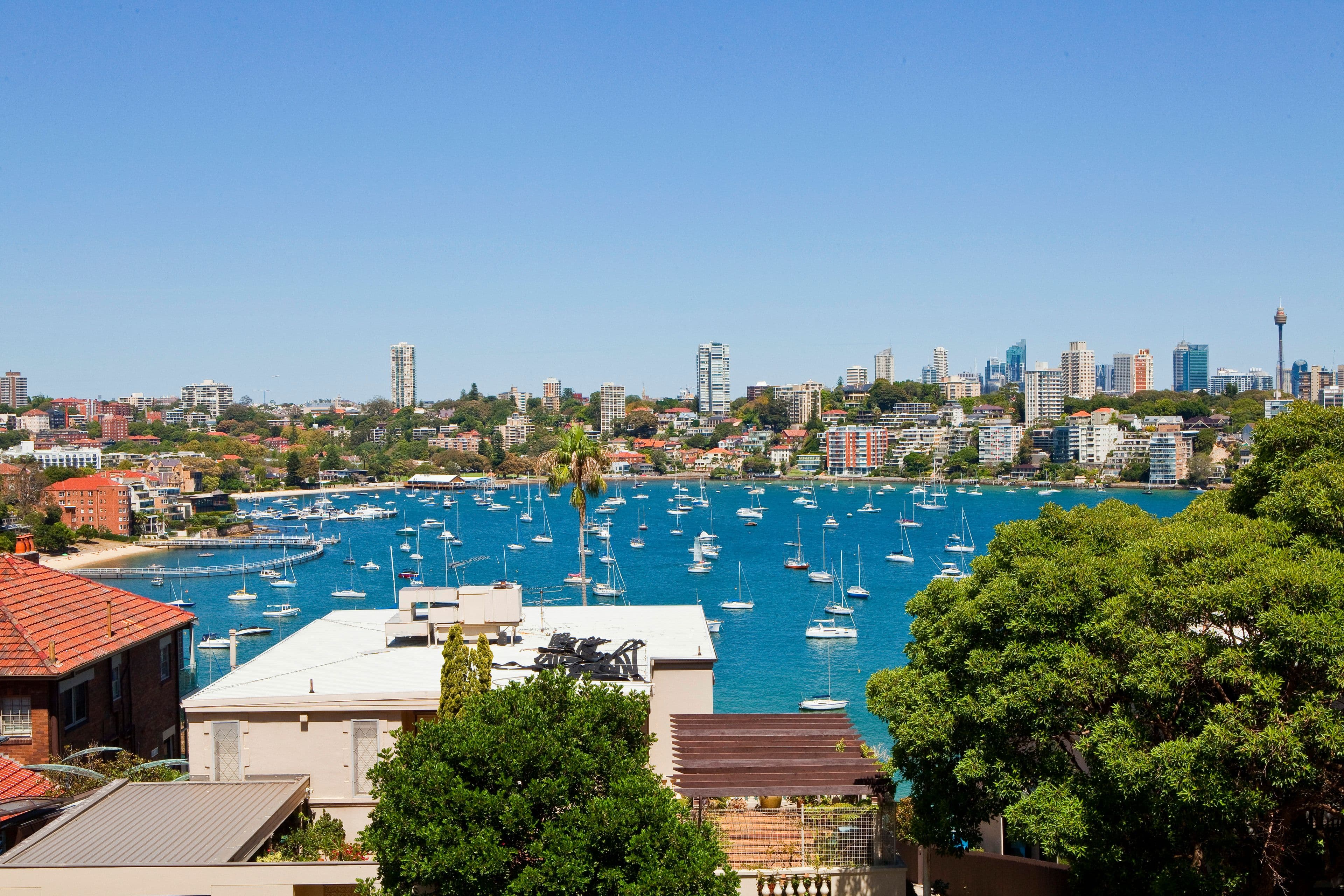 25 Wolseley Road, Point Piper NSW 2027, Point Piper - Thumbnail 2