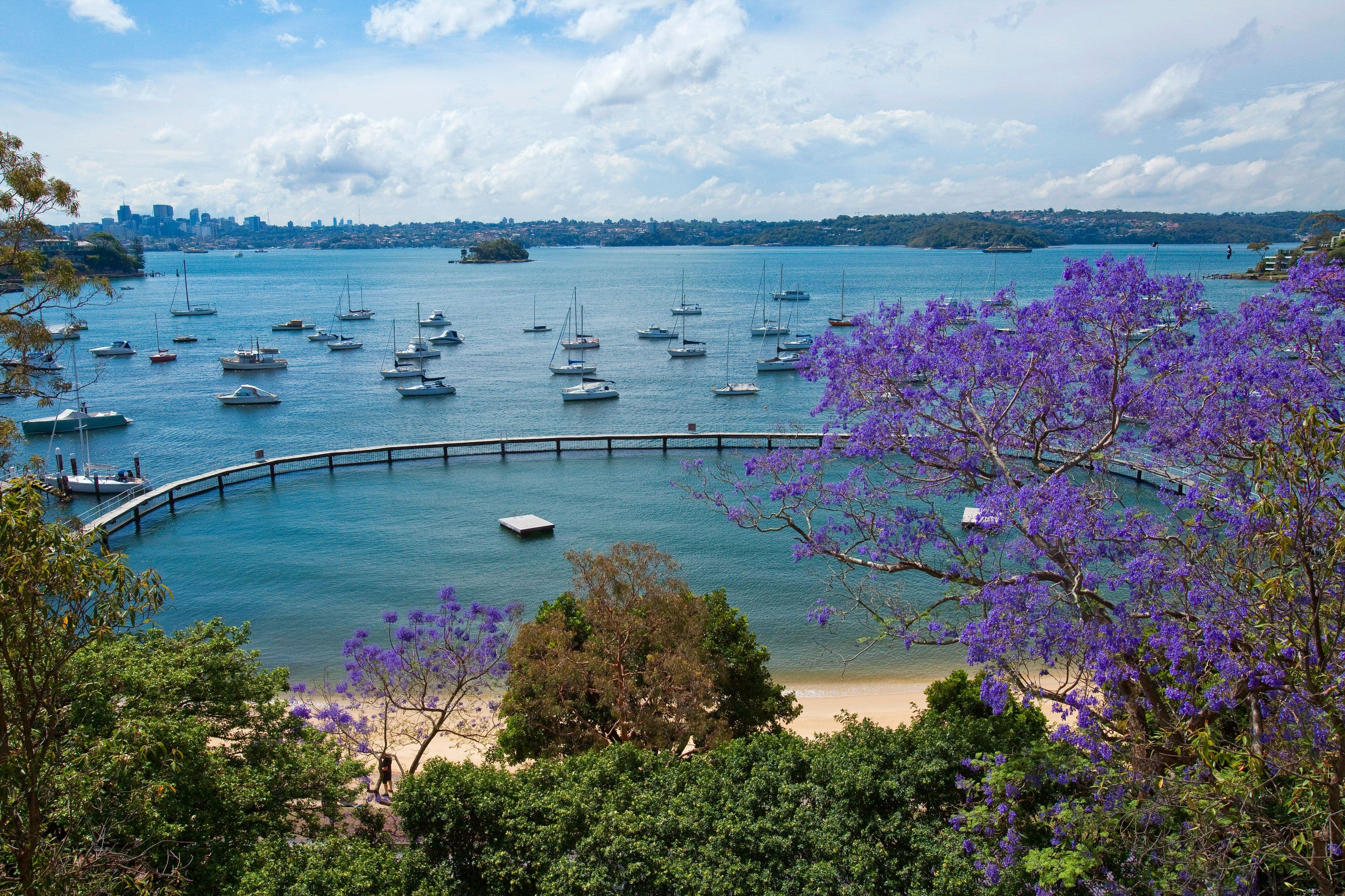 25 Wolseley Road, Point Piper NSW 2027, Point Piper - Thumbnail 6
