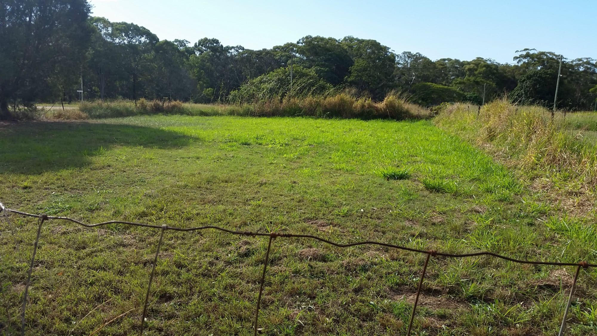 29 Barcelona Terrace, Russell Island QLD 4184, Russell Island - Thumbnail 3