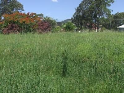 8 Zephyr Street, Russell Island QLD 4184, Russell Island - Thumbnail 2