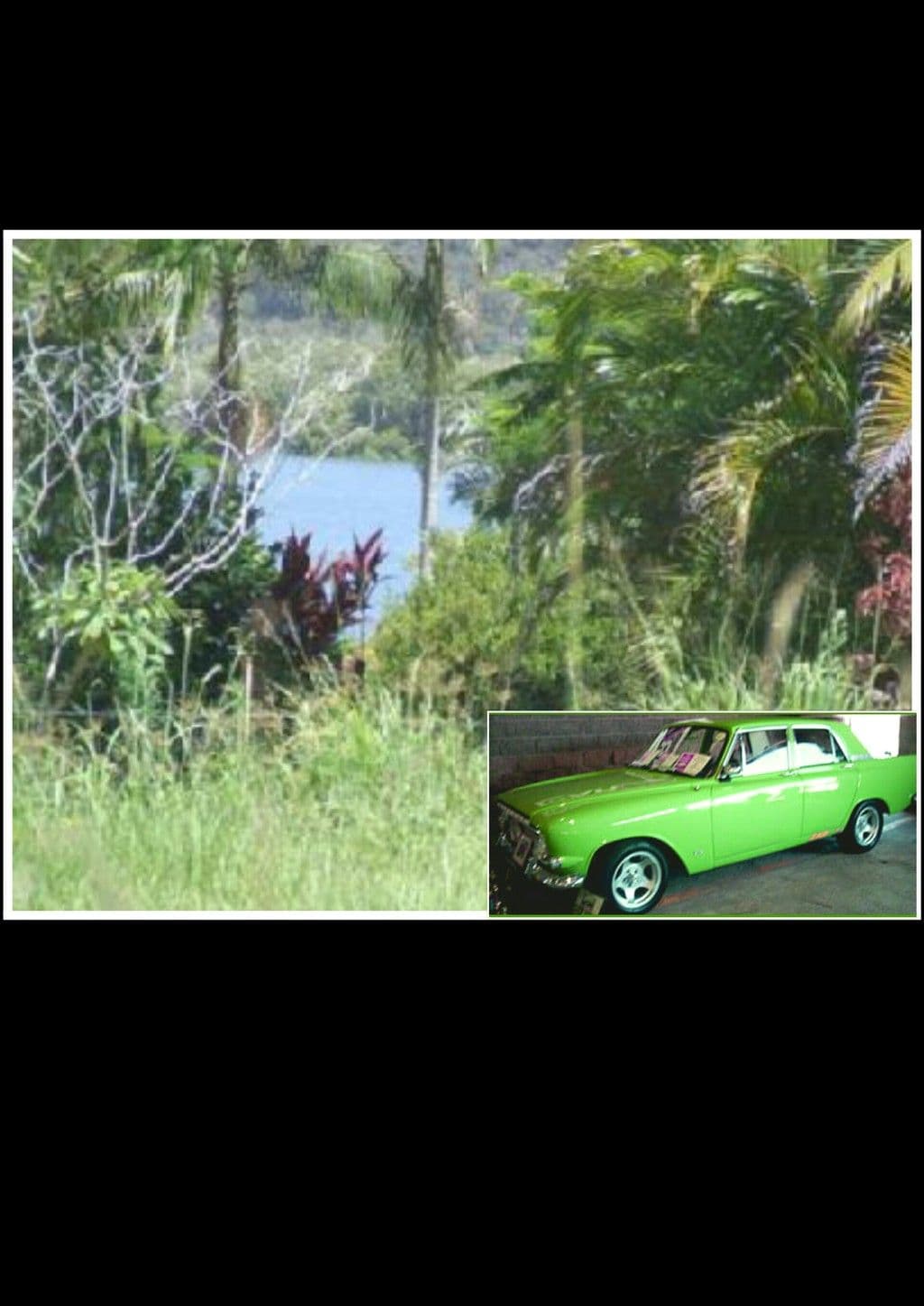 8 Zephyr Street, Russell Island QLD 4184, Russell Island - Thumbnail 4