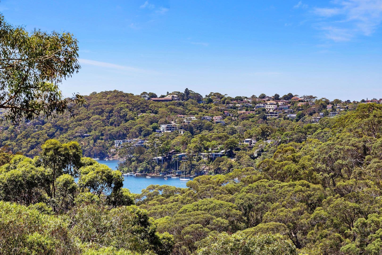 72 Sugarloaf Crescent, Castlecrag NSW 2068, Castlecrag - Thumbnail 3