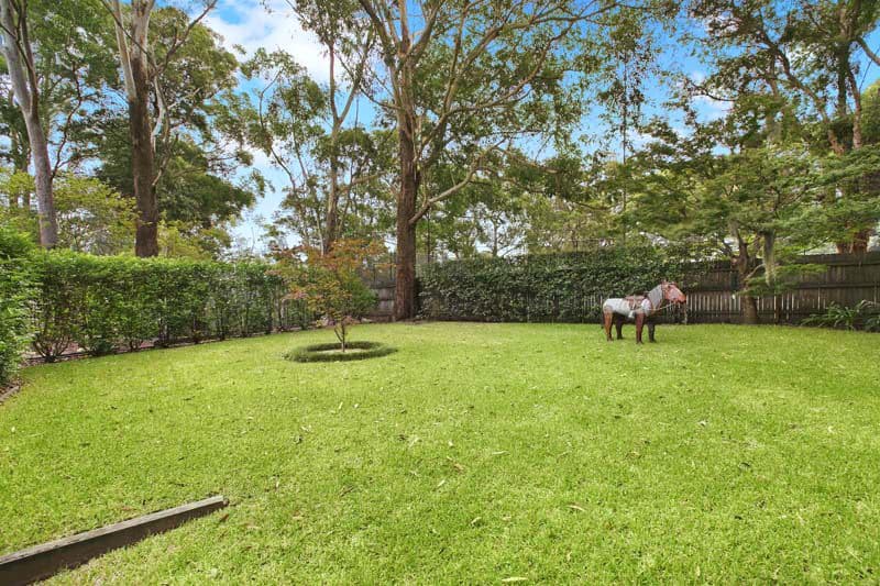15 Waratah Road, TURRAMURRA NSW 2074, Turramurra - Thumbnail 6