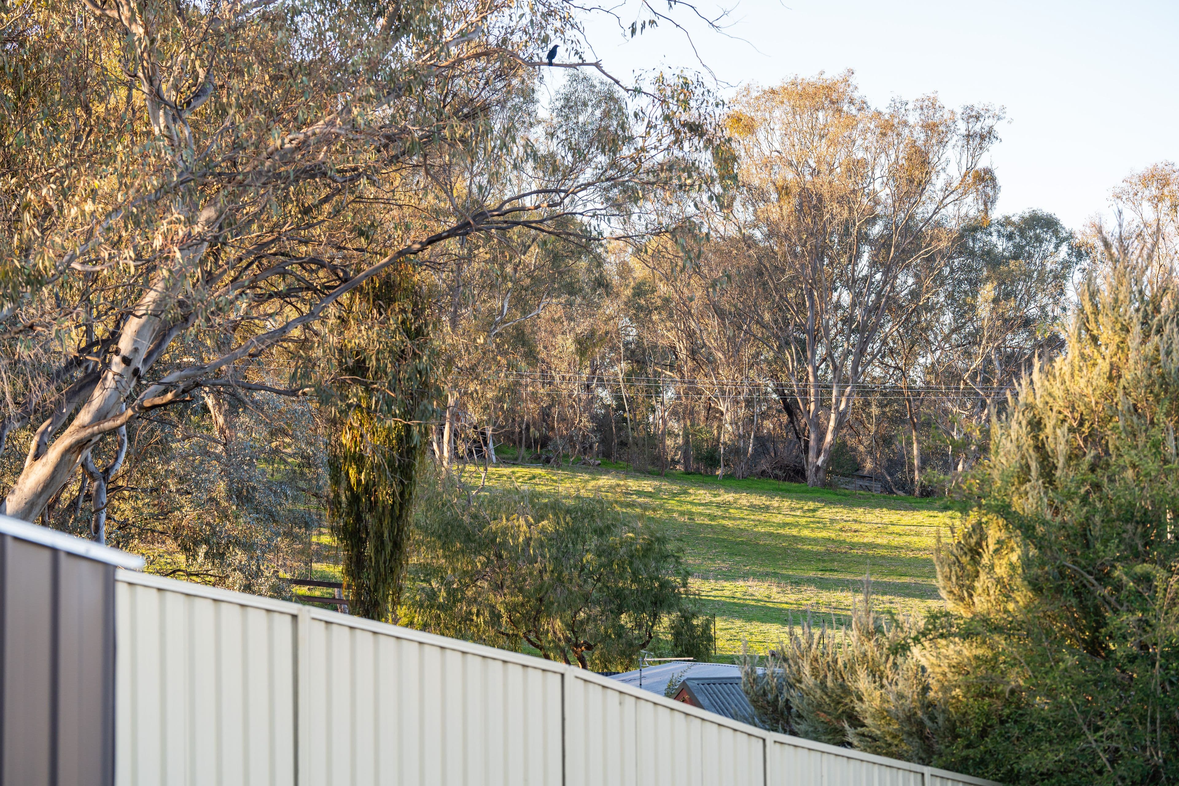 22 Royce Crescent, Lavington NSW 2641, Lavington - Thumbnail 5