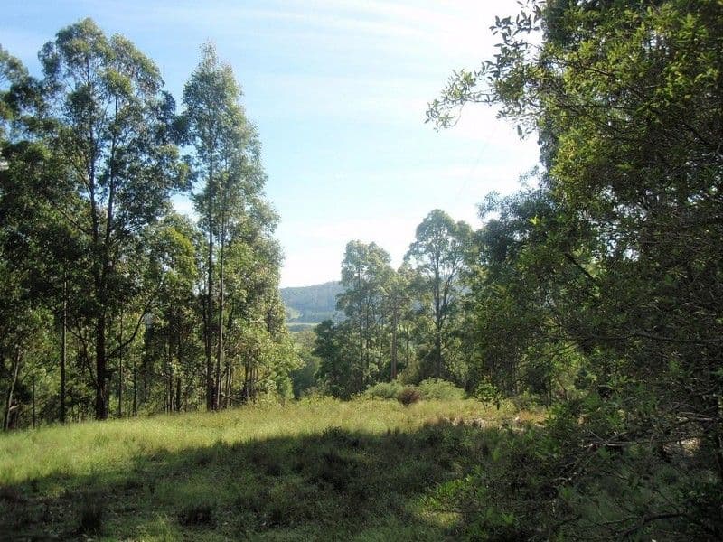 639 Larrys Mountain Road, MORUYA NSW 2537, Moruya - Image 1