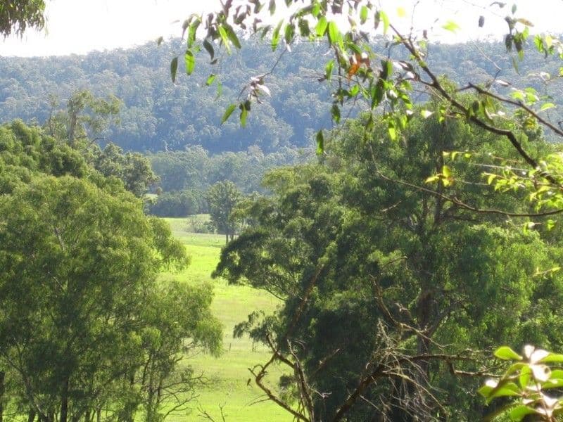 639 Larrys Mountain Road, MORUYA NSW 2537, Moruya - Thumbnail 2