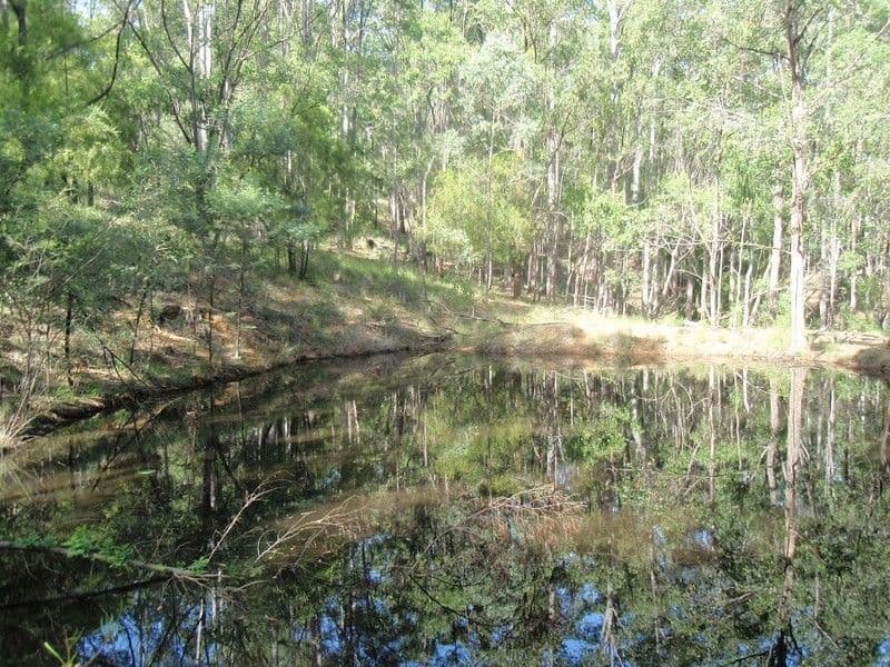 639 Larrys Mountain Road, MORUYA NSW 2537, Moruya - Thumbnail 4