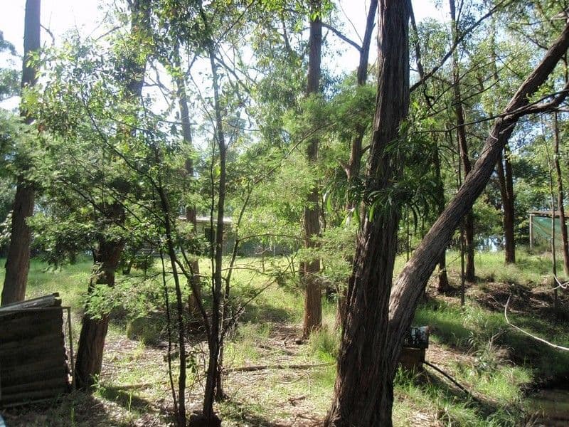639 Larrys Mountain Road, MORUYA NSW 2537, Moruya - Thumbnail 6