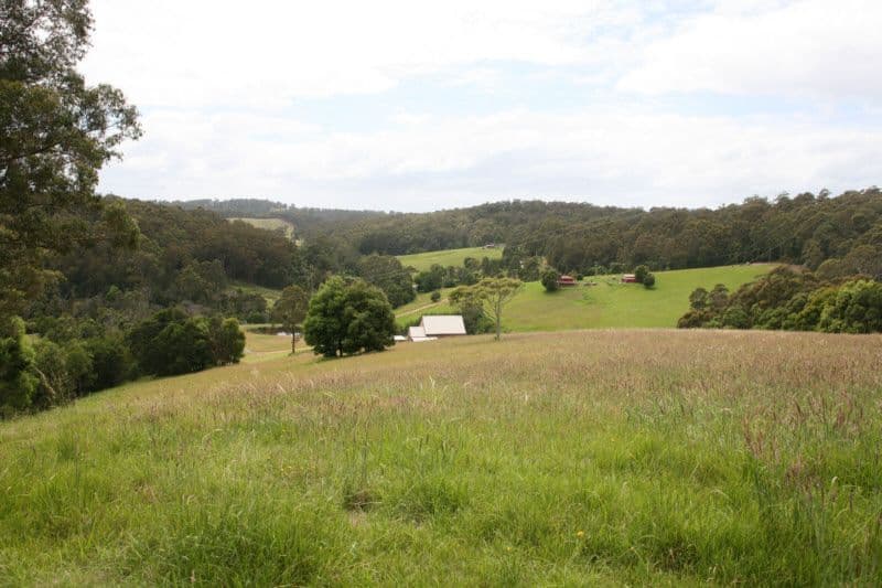CENTRAL TILBA NSW 2546, Central Tilba - Image 1