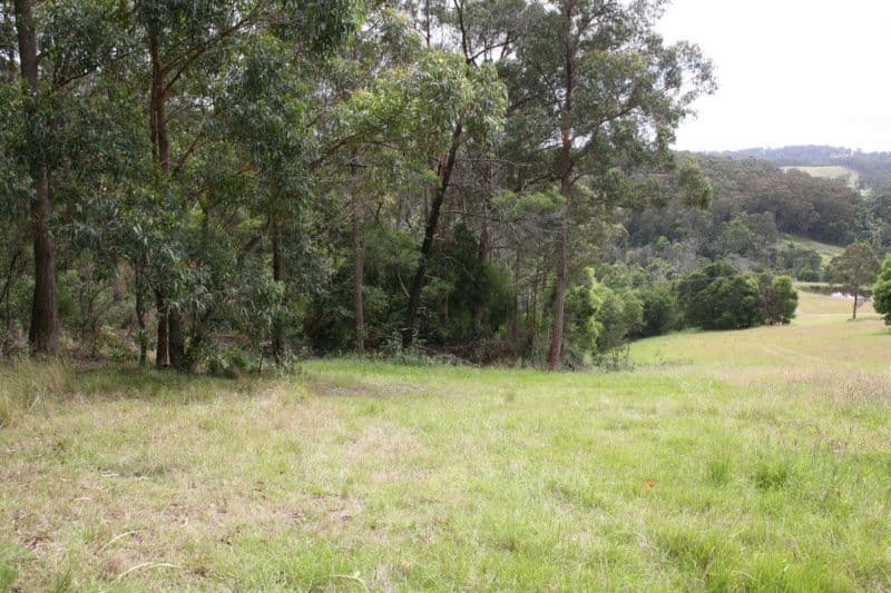 CENTRAL TILBA NSW 2546, Central Tilba - Thumbnail 5