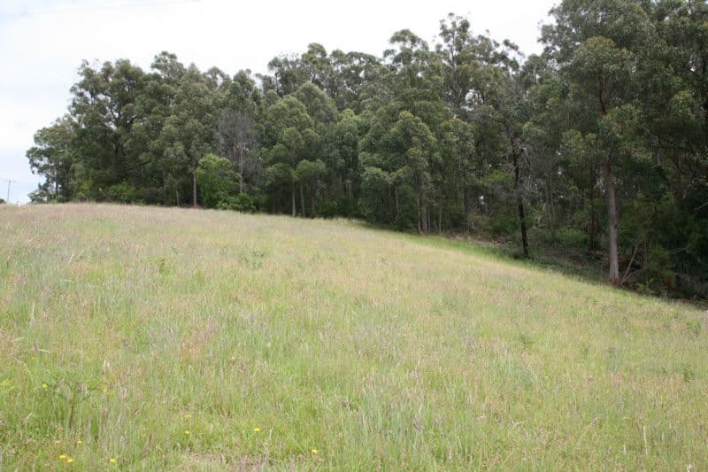 CENTRAL TILBA NSW 2546, Central Tilba - Thumbnail 6