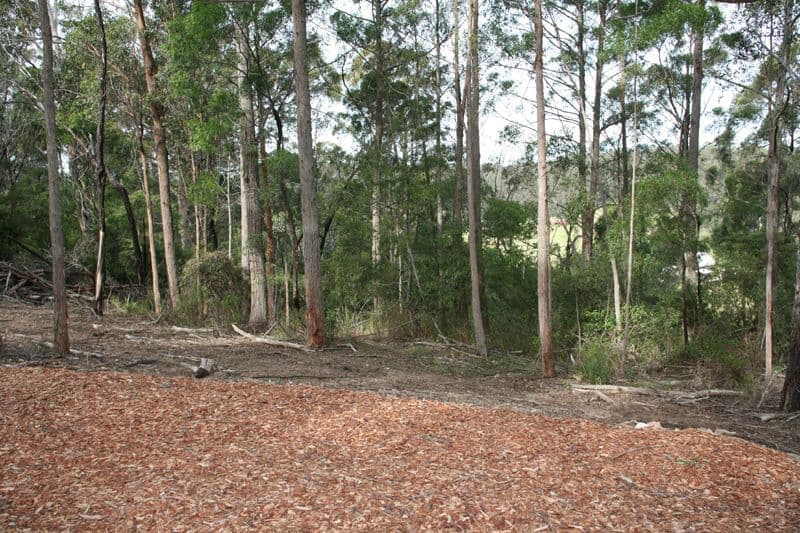 CENTRAL TILBA NSW 2546, Central Tilba - Thumbnail 7