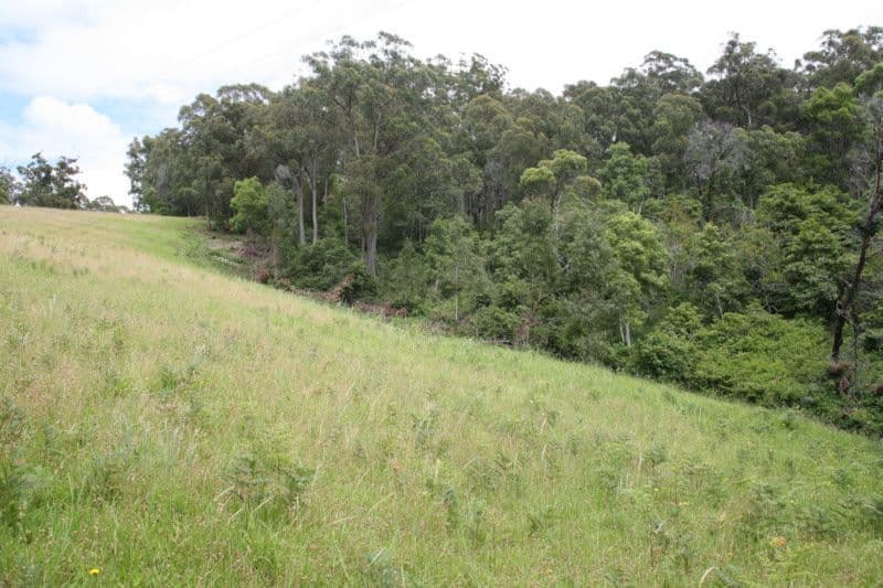 CENTRAL TILBA NSW 2546, Central Tilba - Thumbnail 8