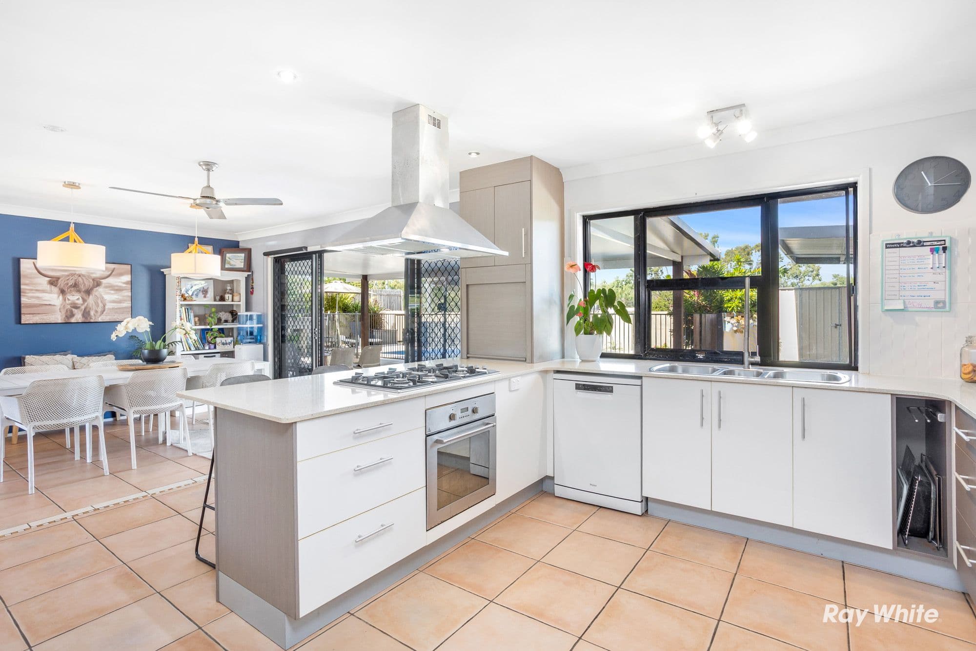 11 Seahorse Crescent, Lammermoor QLD 4703, Lammermoor - Thumbnail 4