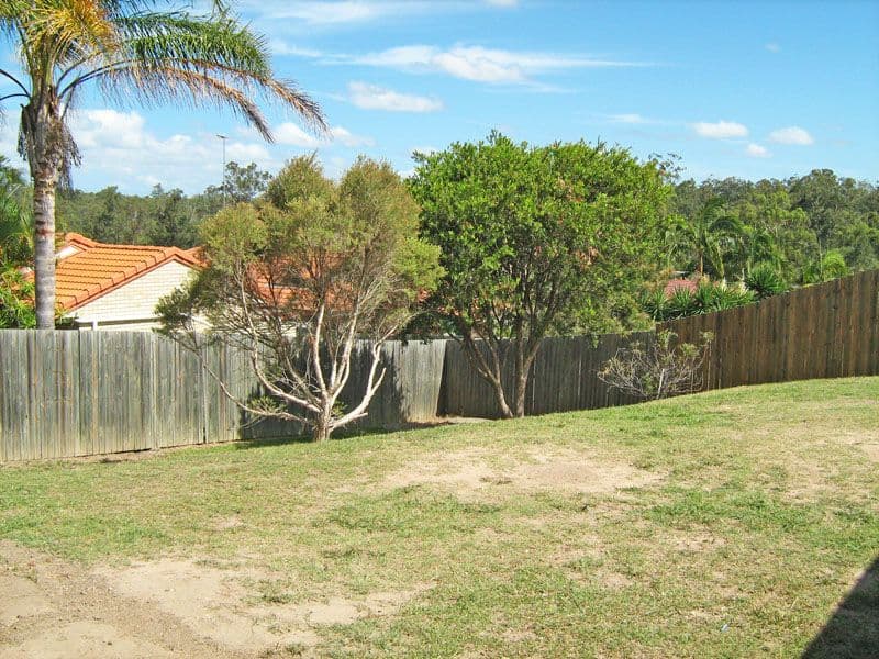 56 Muscari Crescent, DREWVALE QLD 4116, Drewvale - Thumbnail 5