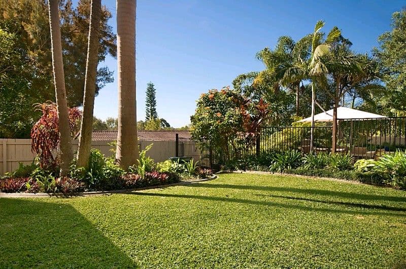 6 Birch Court, TEWANTIN QLD 4565, Tewantin - Image 1