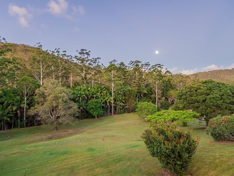 17 Timberview Drive, Wongawallan QLD 4210, Wongawallan - Thumbnail 3