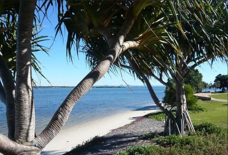 6 Wingbet Court, Banksia Beach QLD 4507, Banksia Beach - Thumbnail 8