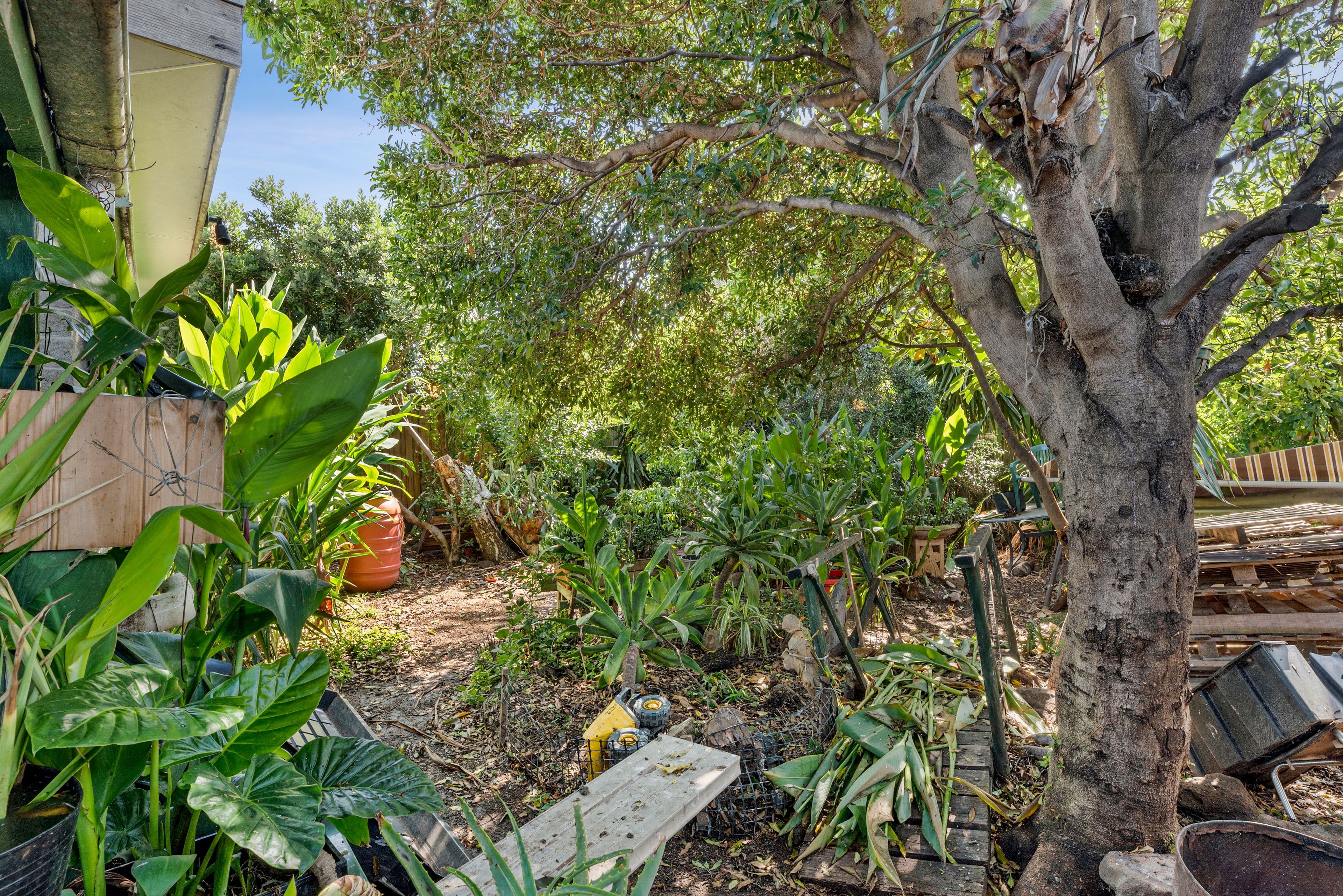 68 Plantation Road, Corio VIC 3214, Corio - Thumbnail 6