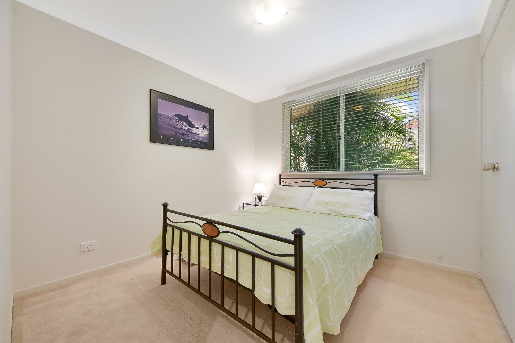 17 Belltrees Close, Glen Alpine - Thumbnail 6