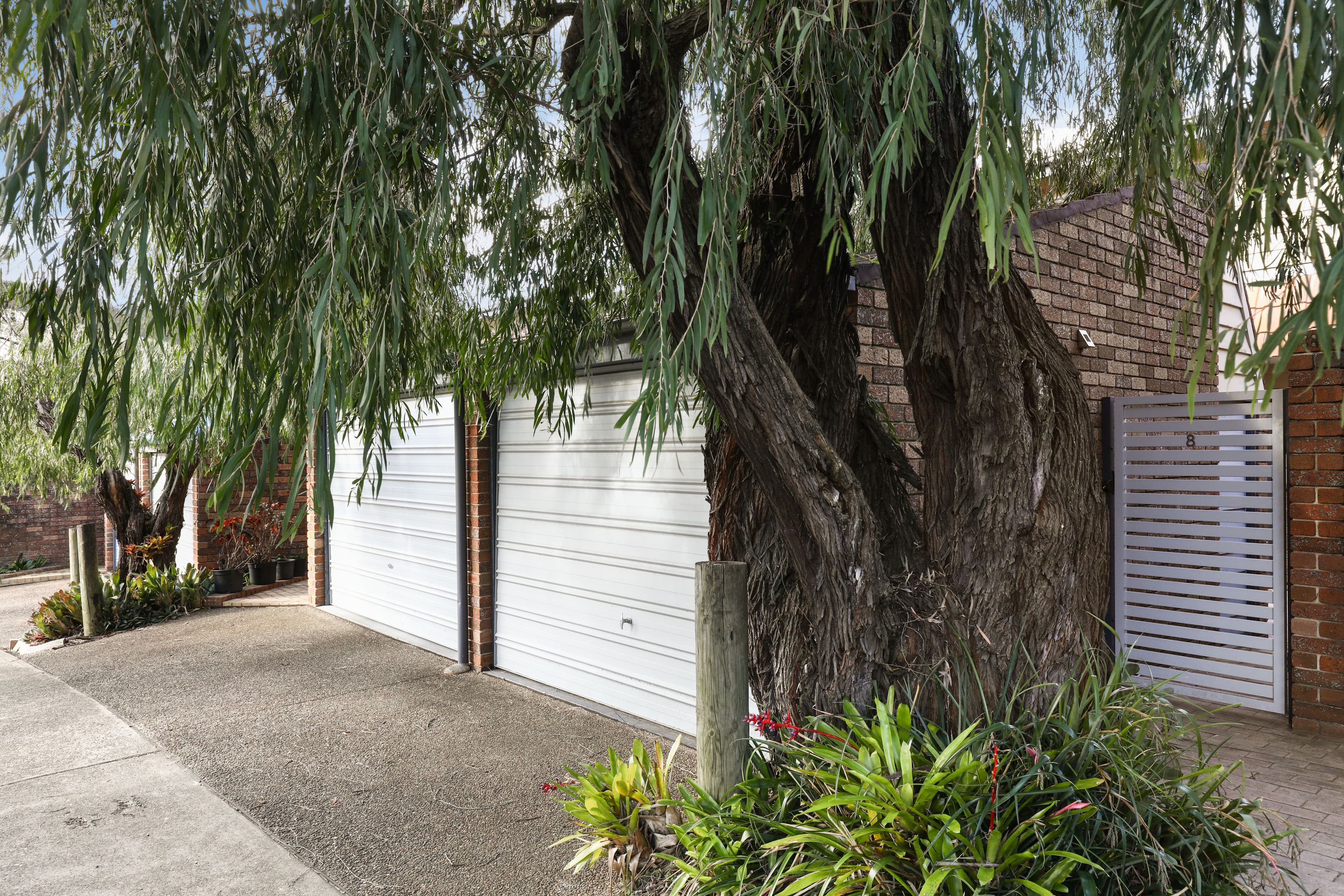 19-25 Flinders Road, Earlwood NSW 2206, Earlwood - Thumbnail 7