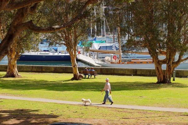 3 Yarranabbe Road, Darling Point NSW 2027, Darling Point - Thumbnail 6