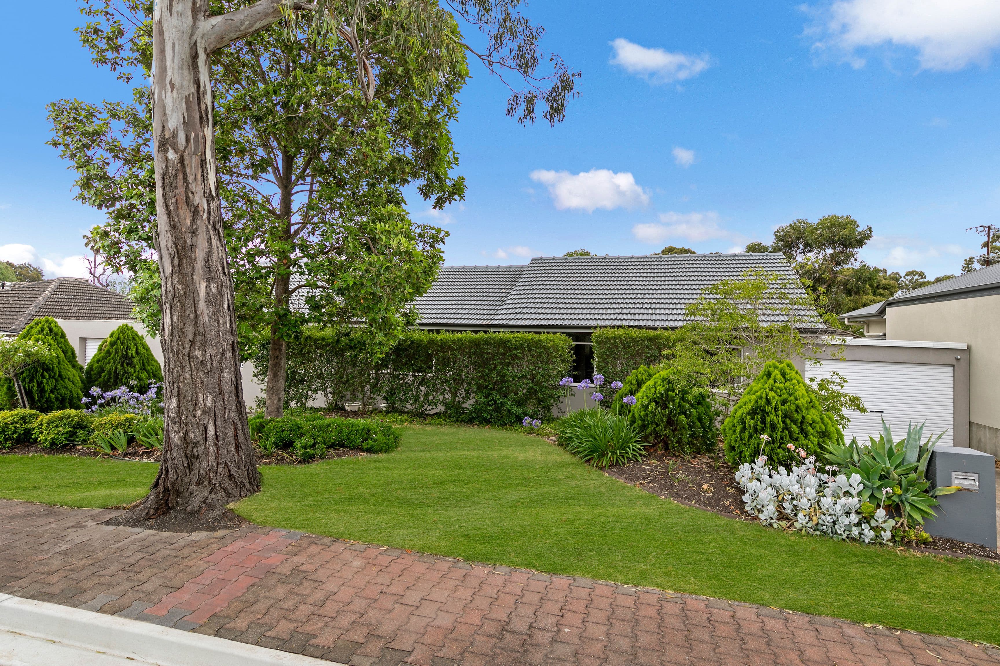 1 Glenside Street, Surrey Downs SA 5126, Surrey Downs - Image 1
