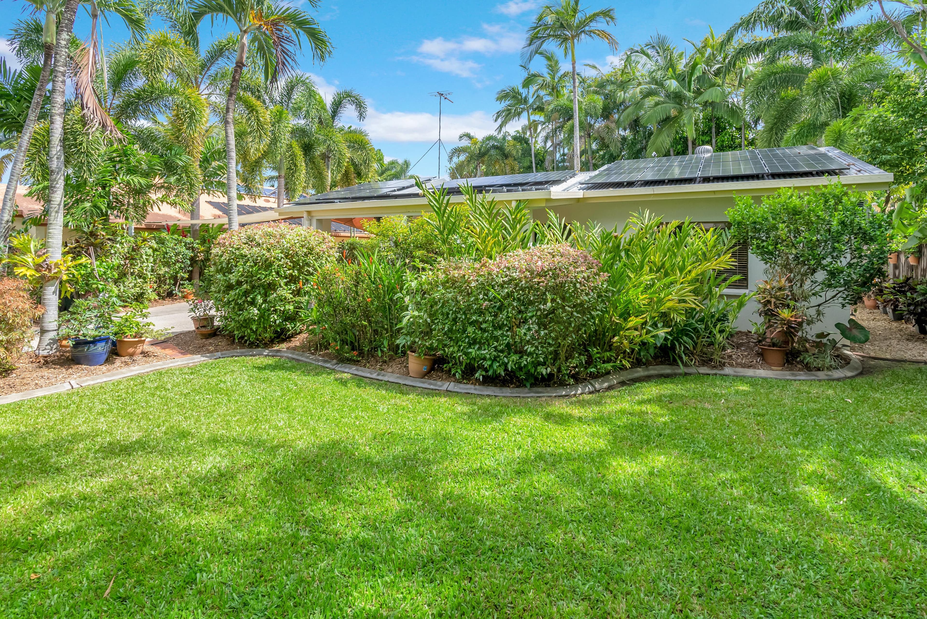 3 Drupa Street, Palm Cove QLD 4879, Palm Cove - Thumbnail 5