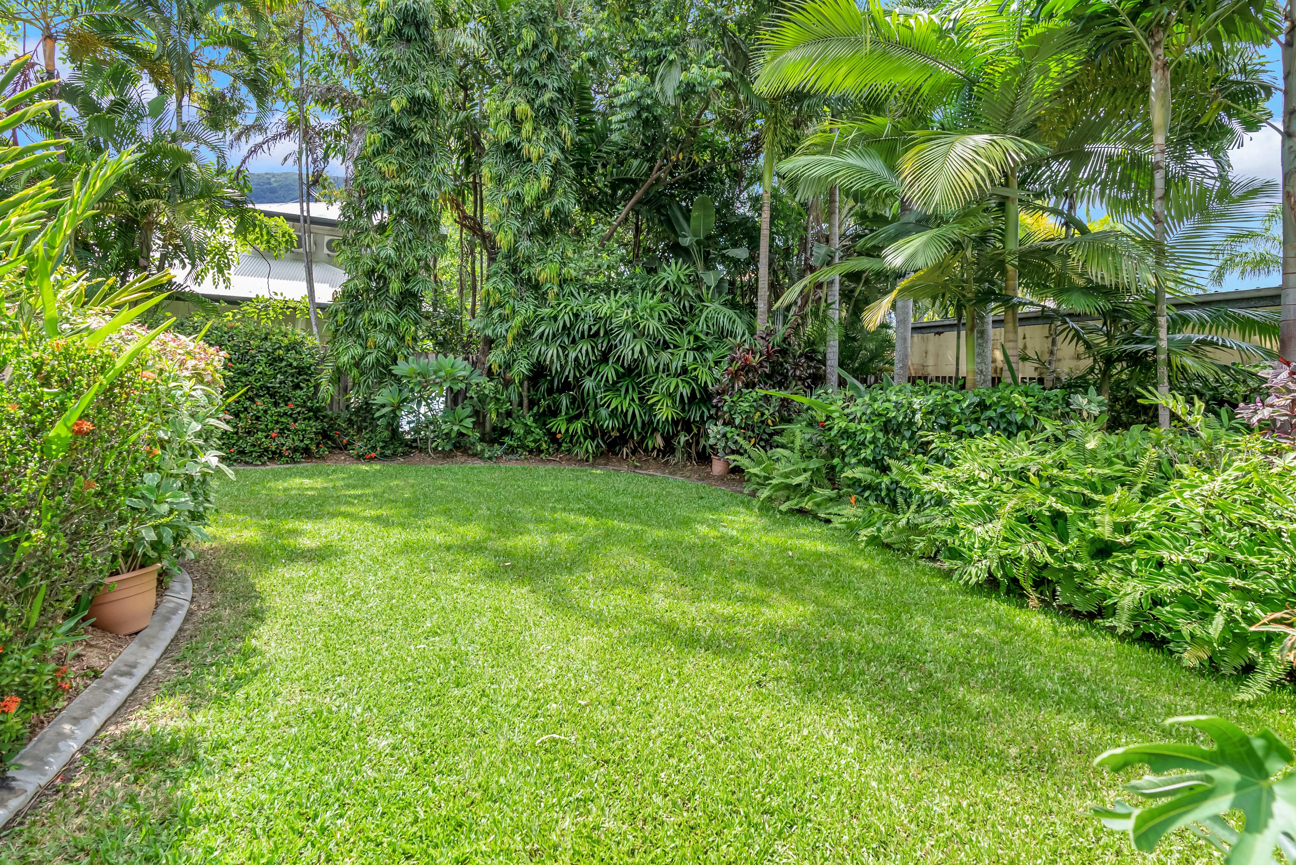 3 Drupa Street, Palm Cove QLD 4879, Palm Cove - Thumbnail 6
