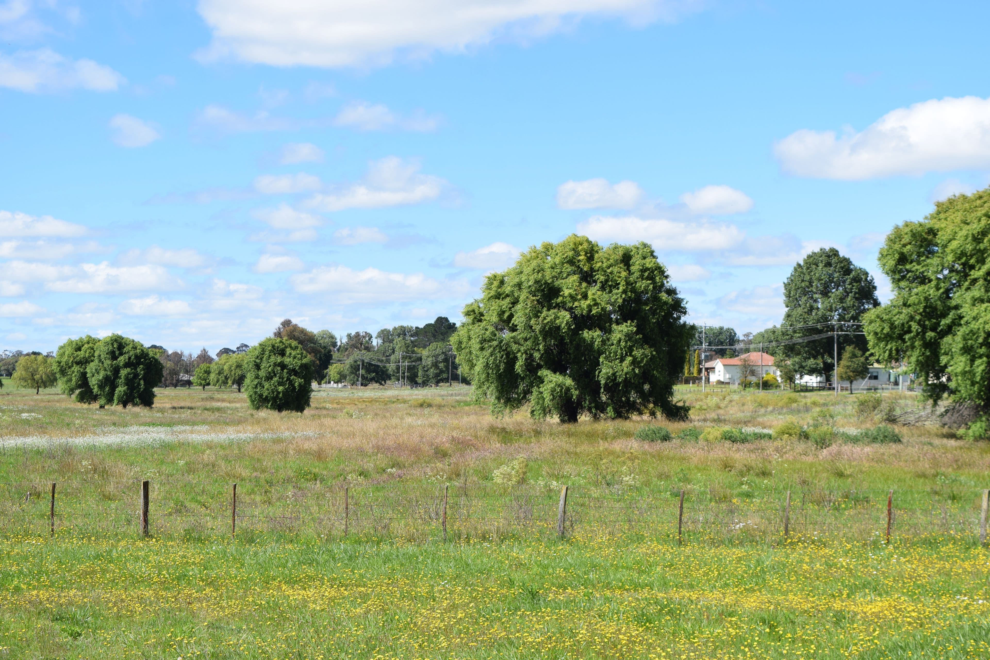 7 Oban Street, Guyra NSW 2365, Guyra - Image 1