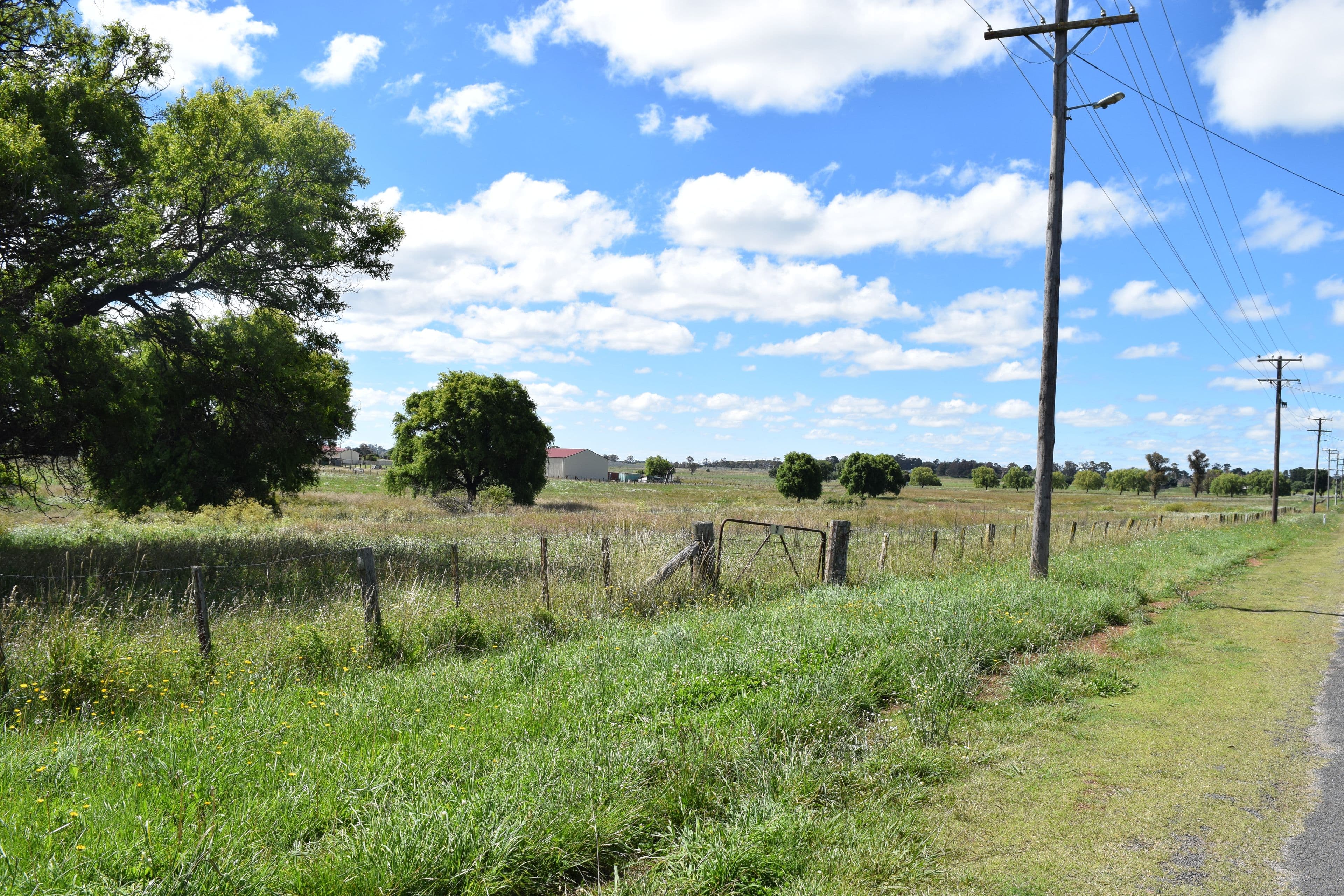 7 Oban Street, Guyra NSW 2365, Guyra - Thumbnail 2