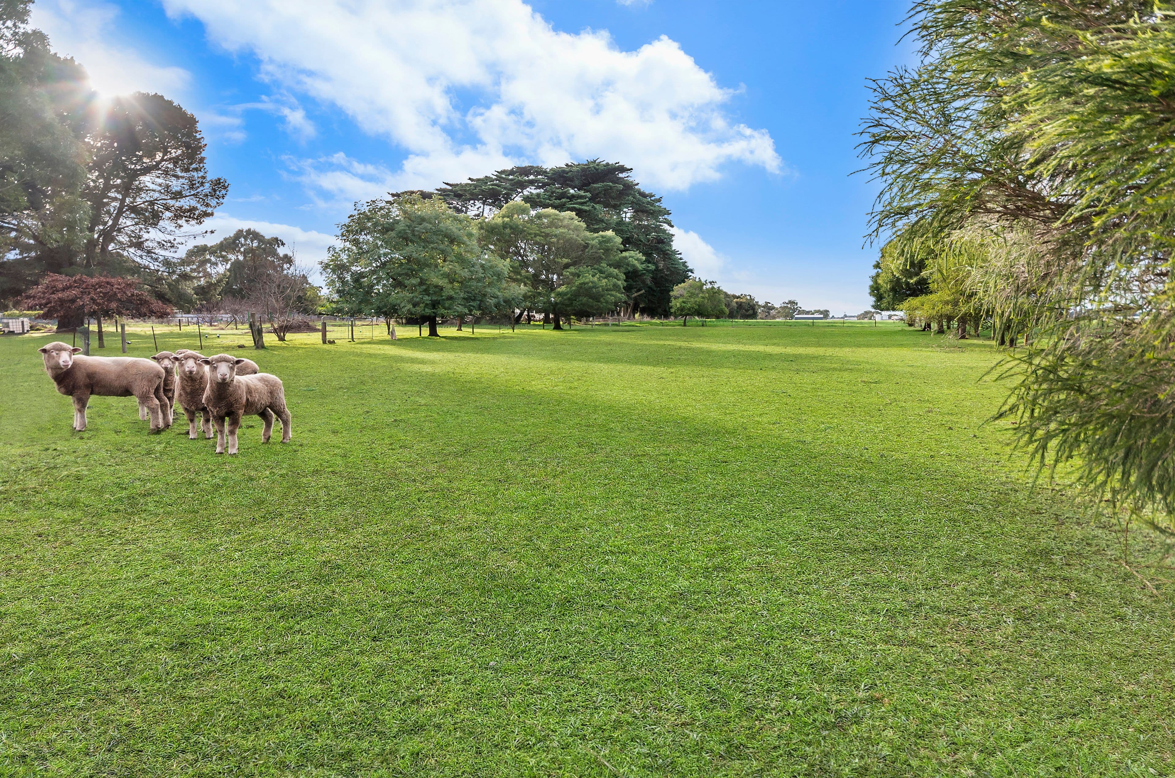 23 Terang-Mortlake Road, Noorat VIC 3265, Noorat - Thumbnail 8