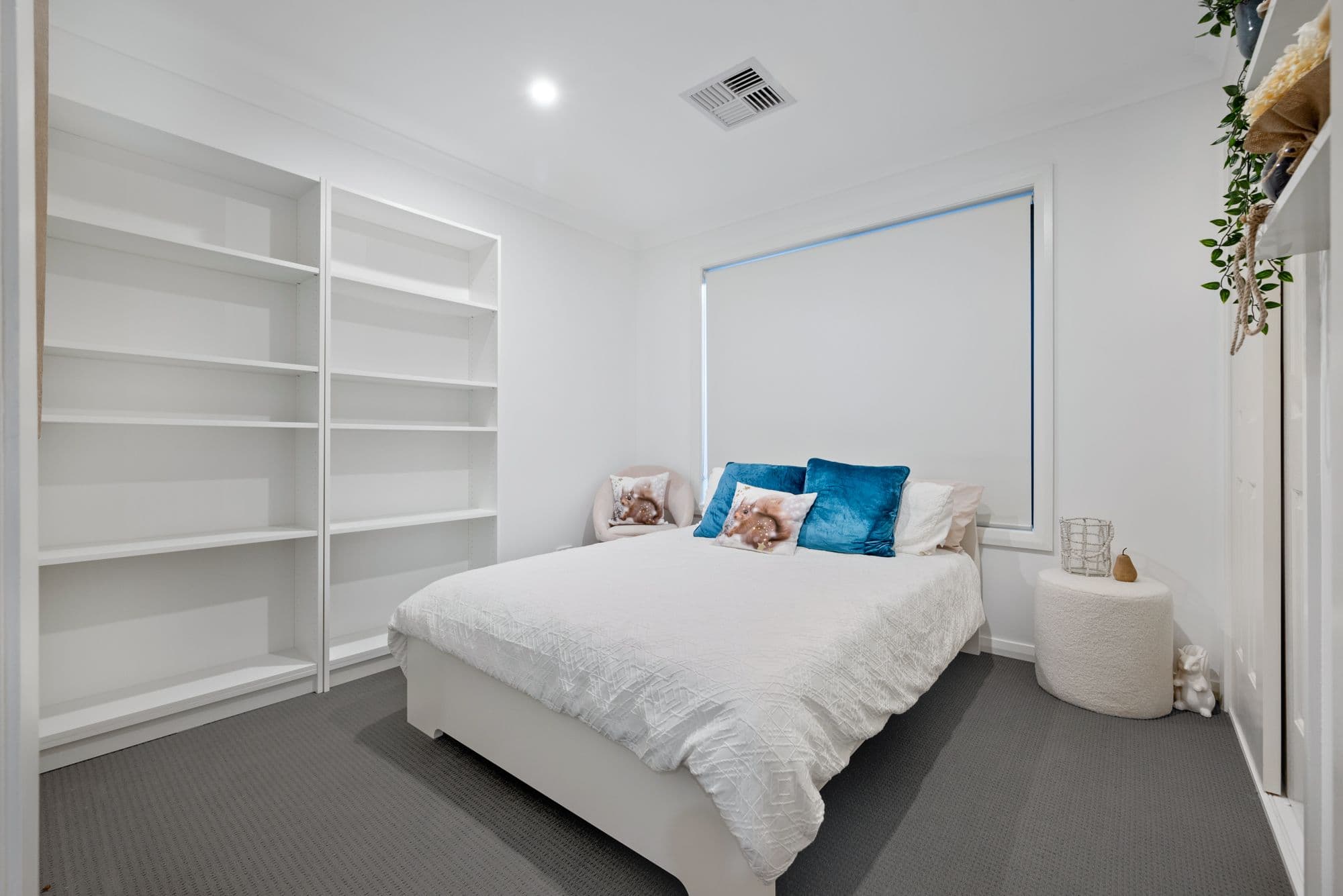 27 Alliott Street, Bradbury NSW 2560, Bradbury - Thumbnail 8