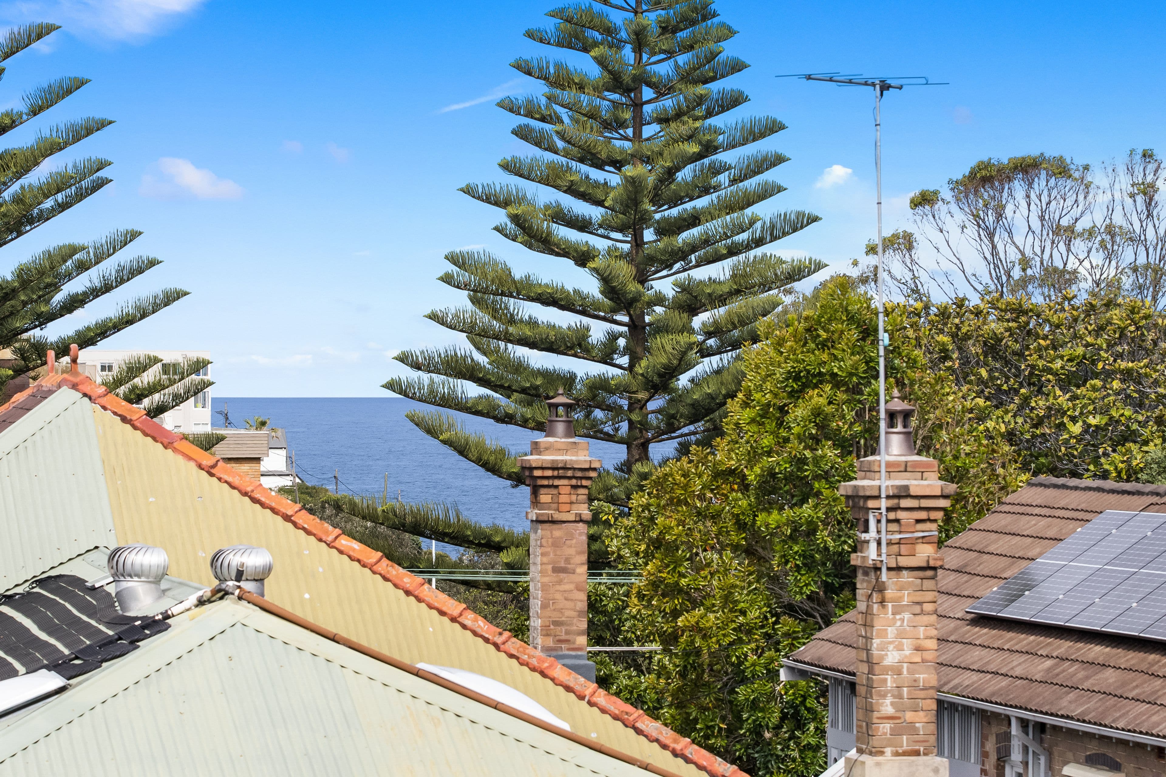 85 Arden Street, Coogee NSW 2034, Coogee - Thumbnail 4